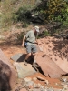 PICTURES/Zion National Park - Yes Again/t_Creek Crossing1.jpg